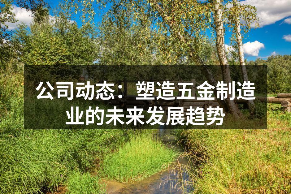 公司动态：塑造五金制造业的未来发展趋势